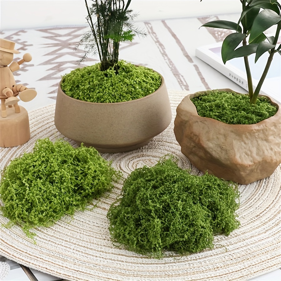 Terrarium Moss Art - 1 paquete de musgo artificial falso,