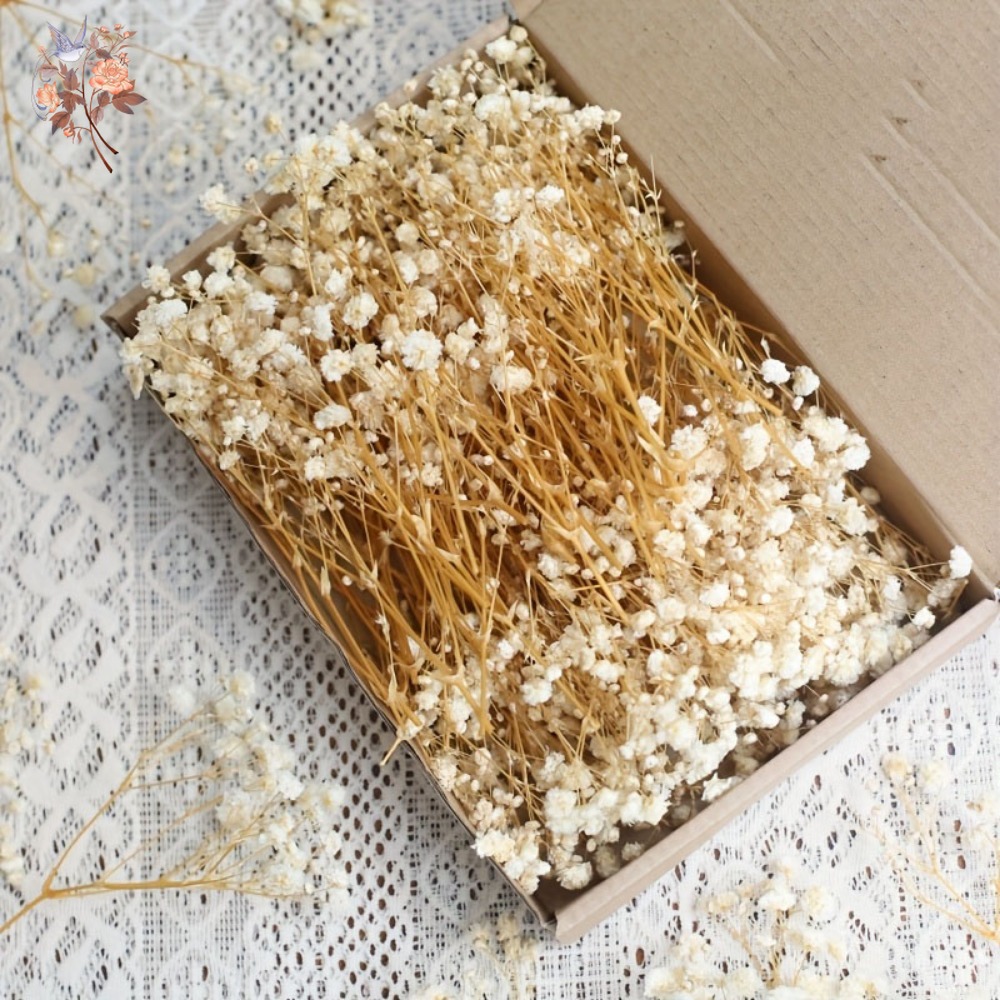 Resin Craft Ideas - 100 Piezas de Flores Secas de