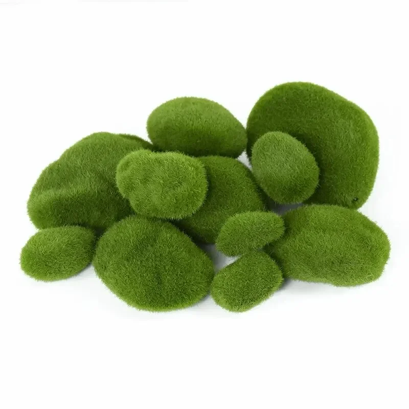 10 Uds. De piedra de musgo Art - Terrarium Moss Art reseña y precio