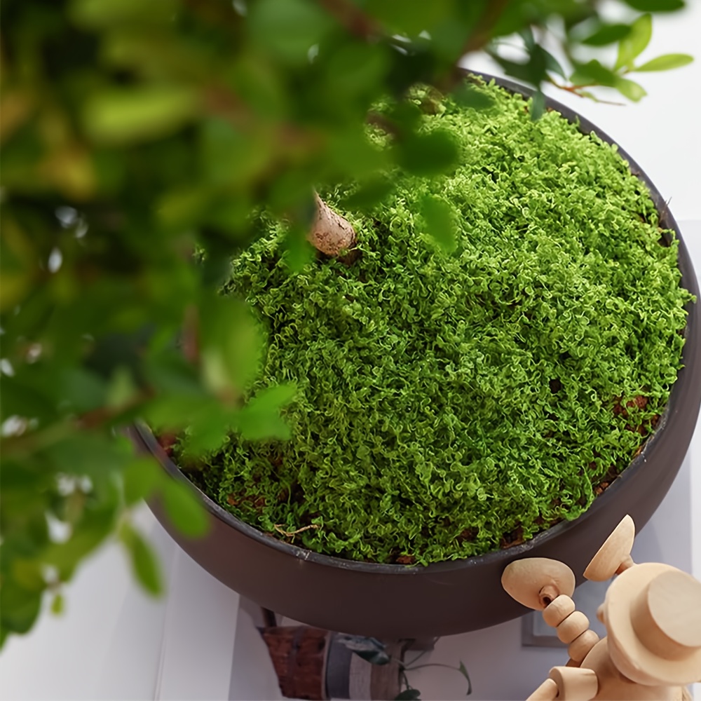 1 paquete de musgo artificial  - Terrarium Moss Art reseña y precio