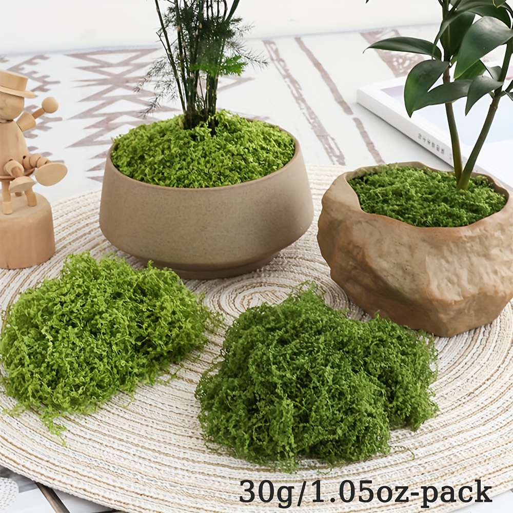 1 paquete de musgo artificial  - Terrarium Moss Art reseña y precio