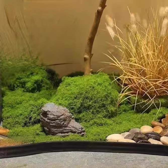 Musgo Eterno de 200g para Manu - Terrarium Moss Art reseña y precio