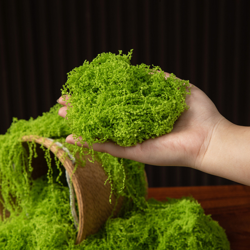 Musgo Eterno de 200g para Manu - Terrarium Moss Art reseña y precio