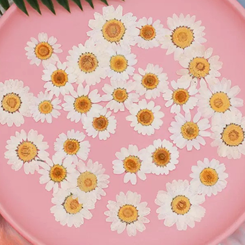 100 Piezas de Crisantemos de C - Resin Craft Ideas reseña y precio