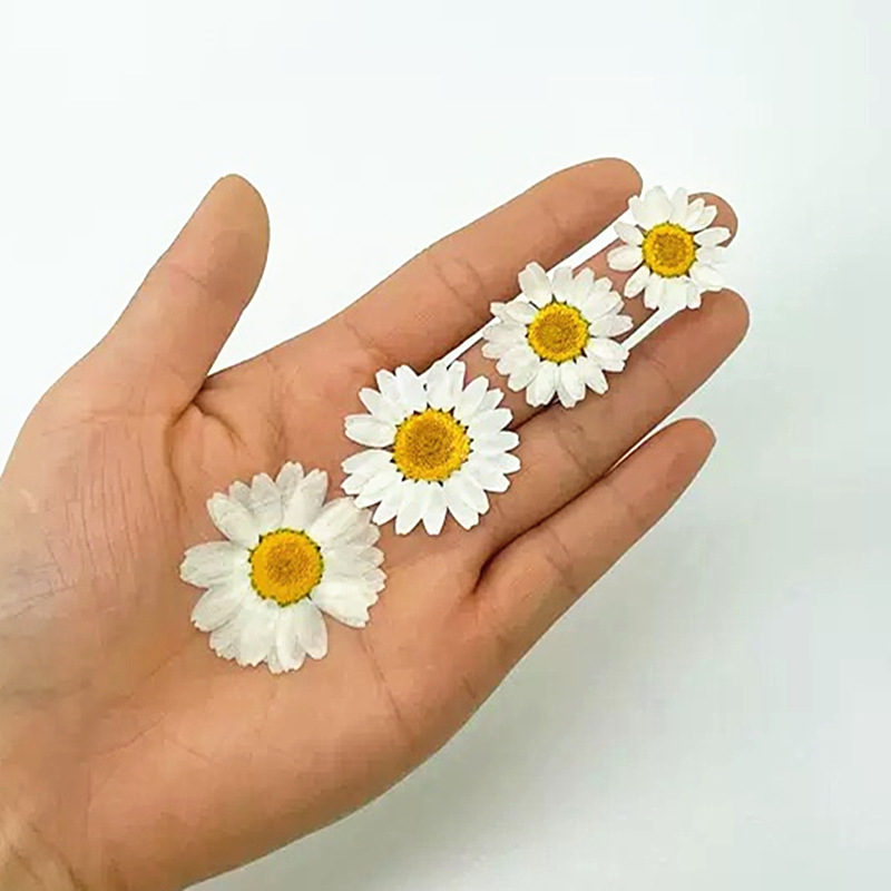 100 Piezas de Crisantemos de C - Resin Craft Ideas reseña y precio