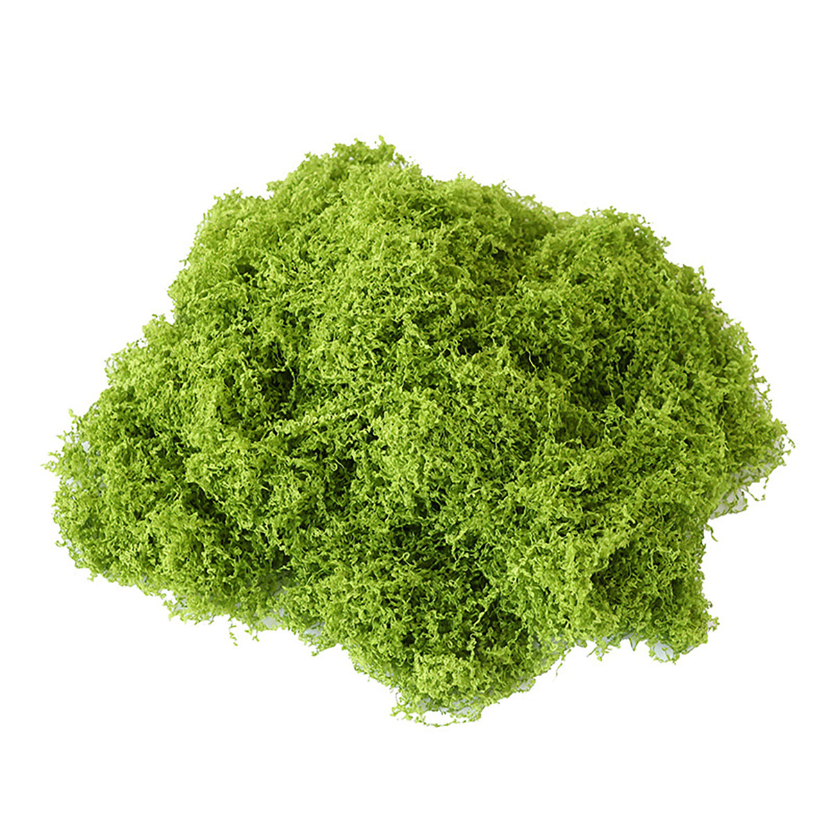 Alrededor de 20 g de plantas v - Terrarium Moss Art reseña y precio