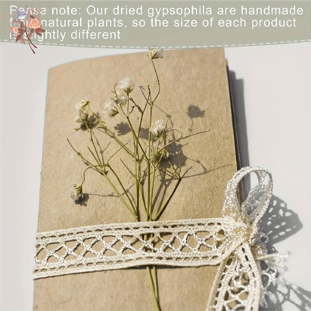 100 Piezas de Flores Secas de  - Resin Craft Ideas reseña y precio